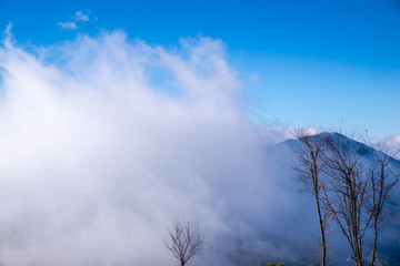 高山白云