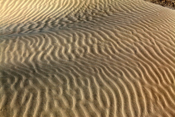沙漠 沙子纹理 戈壁 沙漠丘陵