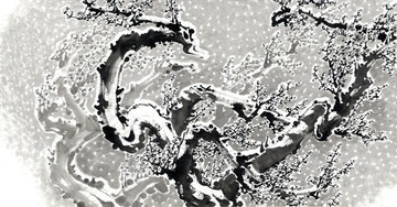 梅 水墨國(guó)畫(huà)