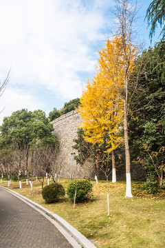 明城墙秋景