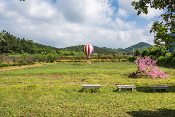 山中草坪