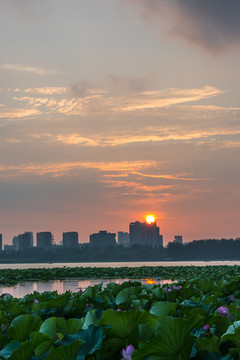 南京玄武湖日落