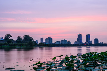 南京玄武湖夜色