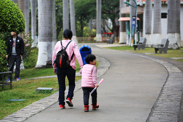 厦门湖里公园 椰子树