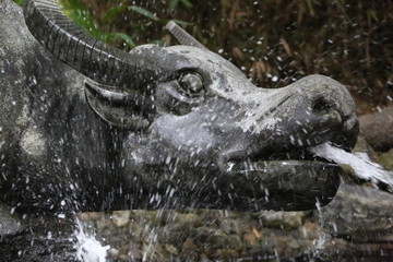 水牛雕塑