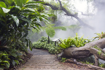 热带雨林植物园区