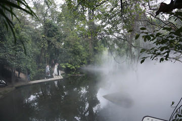 热带雨林植物园区