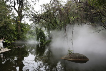 热带雨林植物园区