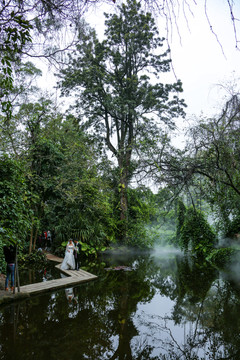 热带雨林植物园区