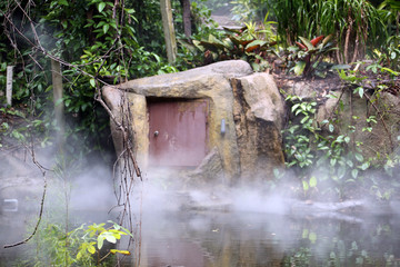 热带雨林植物园区 热带雨林