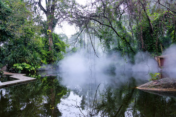 热带雨林植物园区