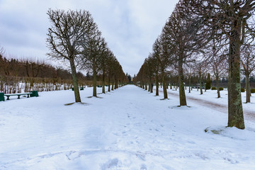 夏宫上花园雪景