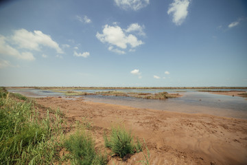 盐碱地 红色植被 湿地风光