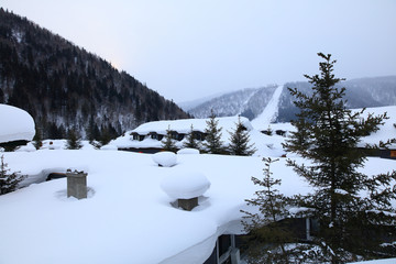 雪乡全景 中国雪乡 雪乡