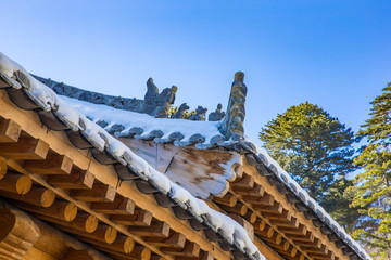 仙人走兽 雪景