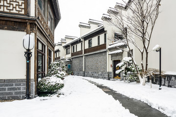 雪后街景