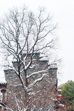 老门东历史文化街区雪景