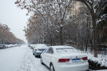 街道雪景