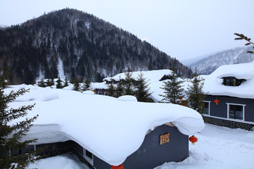 雪乡全景 中国雪乡 雪乡