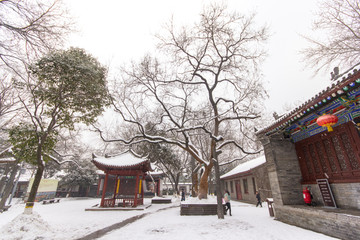 西安小雁塔雪景