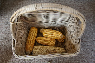 农家玉米篮子
