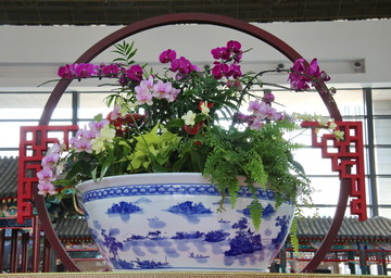 马蹄莲瓷瓷花花盆