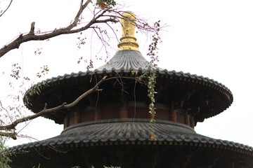 厦门植物园太平岩寺 圆通宝殿