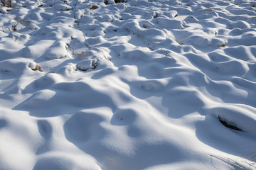 冬日湿地雪景