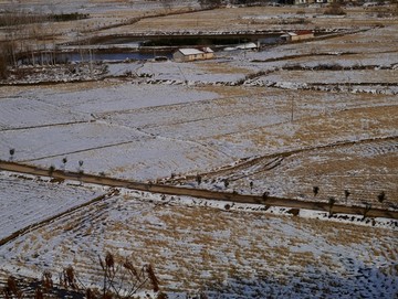 雪农田