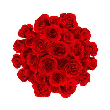 紅花球