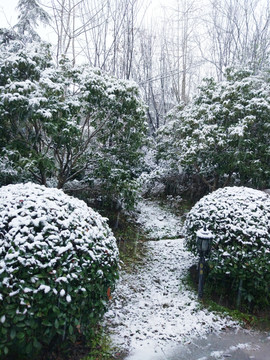 花园雪景