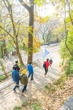 秋叶 秋游 登山 佘山秋游