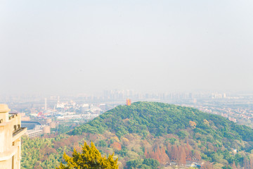 秋叶 佘山秋景 上海松江