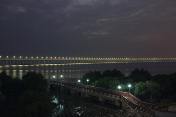 红树林夜景