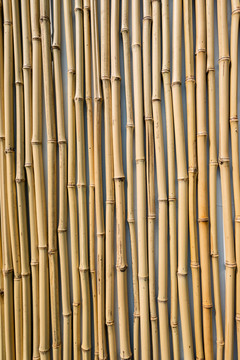 竹子背景竖幅