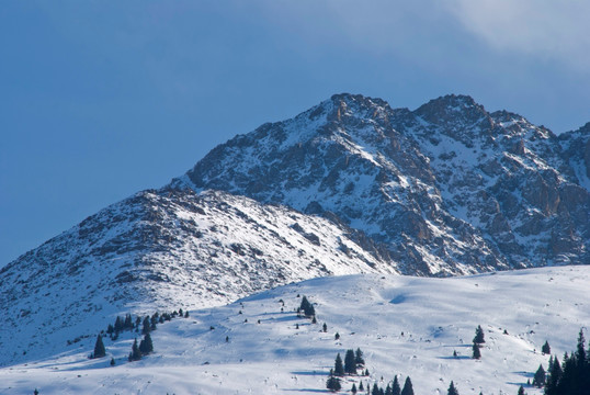 雪峰