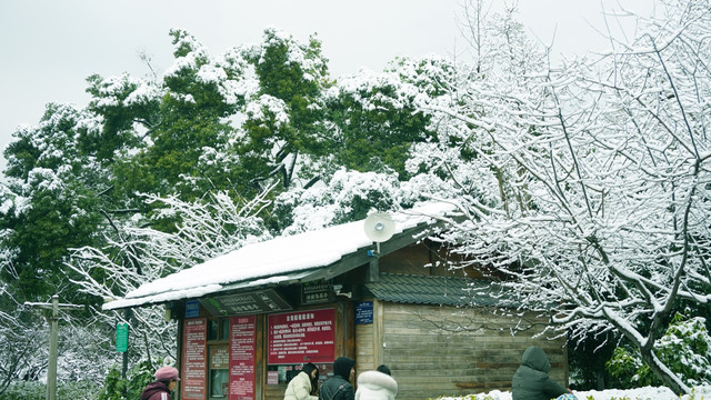 西湖雪景