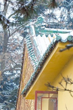 雪景 青岛 湛山寺 电视塔