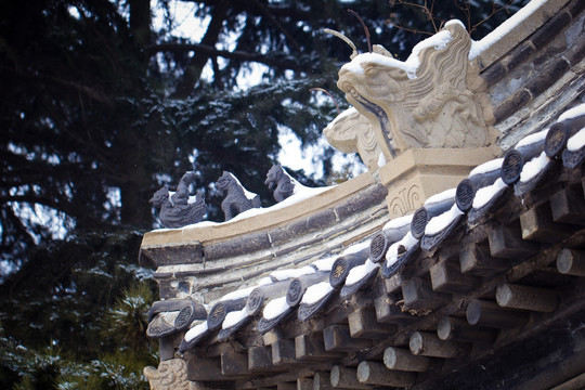 雪景 青島 湛山寺 冬
