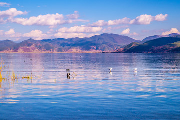 云南泸沽湖风光