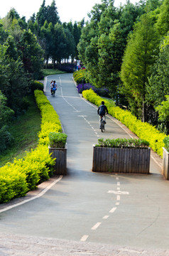 湿地公园步道