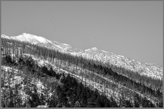 木格措雪山黑白图