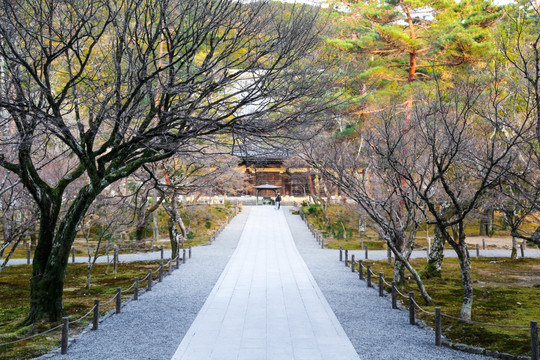 日本风景