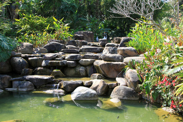 池塘岩石