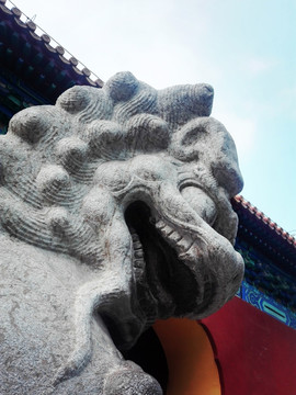 北京中山公园石狮子