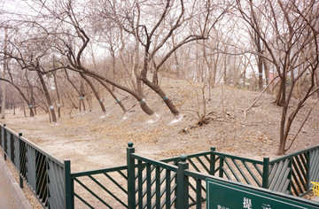 元土城公園