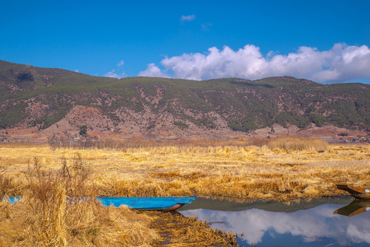 泸沽湖湿地