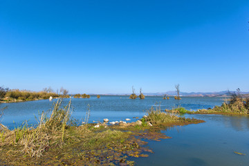 色彩斑斓湿地