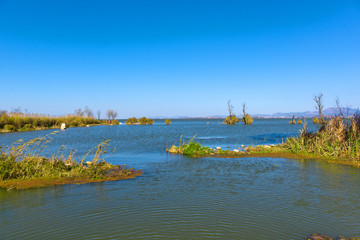 色彩斑斓湿地