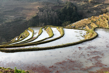 元阳梯田